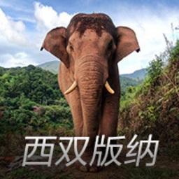 三亚凤凰国际机场三期改扩建项目冲刺年底竣工